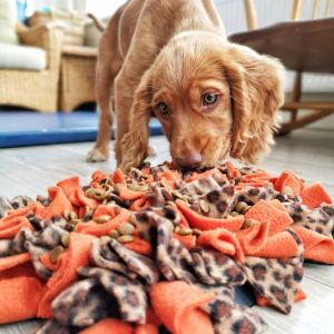 snuffle mat feast fleece match enrichment games toys foe dogs and cats