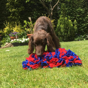 SNUFFLE MAT DOG ENRICHEMNT FEAST FLEECE MAT DOG BOREDOM BUSTER