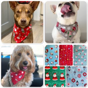 Slip Collar Christmas dog cat bandanas