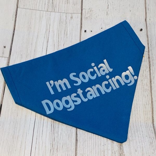 SOCIAL DOGSTANCING ISOLATION BANDANA DOGS CATS PETS