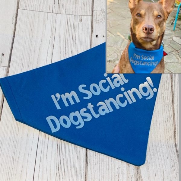 SOCIAL DOGSTANCING ISOLATION BANDANA DOGS CATS PETS