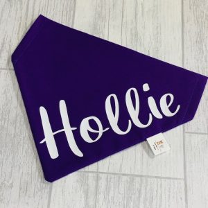 personlized Name dog / cat bandana slip collar