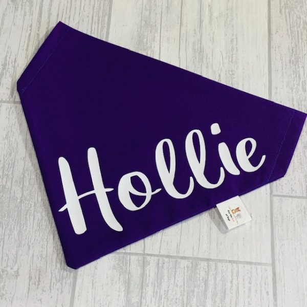 personlized Name dog / cat bandana slip collar