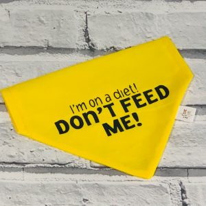 don't feed me dog cat warning bandana