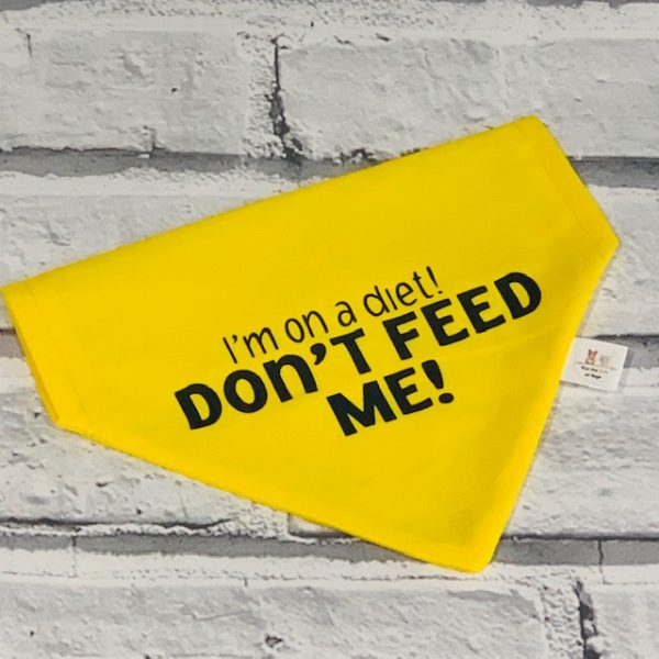 don't feed me dog cat warning bandana