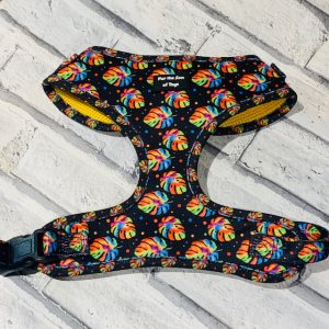 Neon Jungle Dog Harness